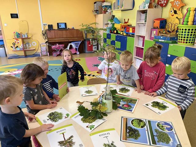 yjemy blisko natury 1 20250206 1930412996