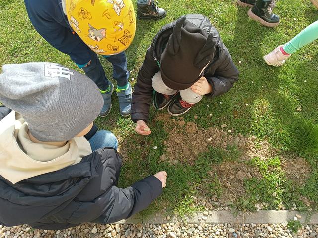 yjemy blisko natury 8 20250206 1112902884