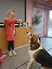 Bezpieczna komunikacja z psem - warsztaty