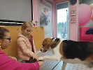 Bezpieczna komunikacja z psem - warsztaty