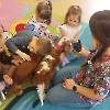 Czworonożni goście w przedszkolu