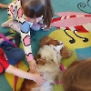 Czworonożni goście w przedszkolu