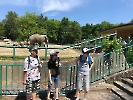 Dzień Dziecka w zoo