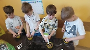 Mini ogródek u Jeżyków
