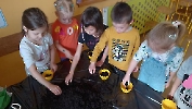 Mini ogródek u Jeżyków