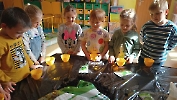 Mini ogródek u Jeżyków