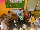 Mini ogródek u Jeżyków