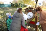 Otwarcie Leśnego Parku Przygód