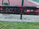 Szkolno - sołecki piknik patriotyczny