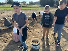 Wykopki na Ranczu Artemidy